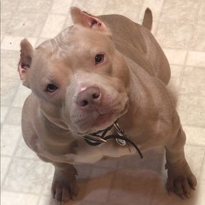 Meet your Posher, Devante